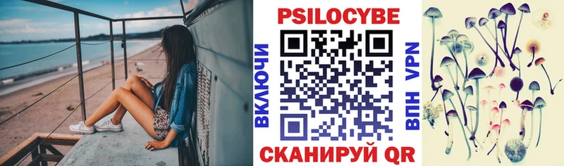 Псилоцибиновые грибы MAGIC MUSHROOMS Бородино