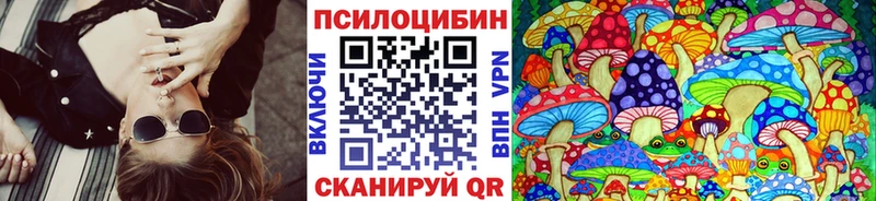 Псилоцибиновые грибы мицелий  Купить где  Бородино 