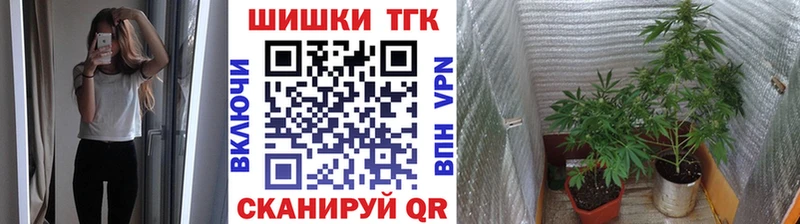 Конопля Amnesia  Купить где  Бородино 